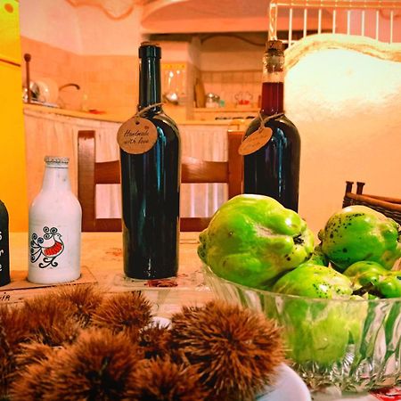 Casa Ele - Casa Indipendente Con Cucina - Bikes Friendly Apartment Sassari Ngoại thất bức ảnh